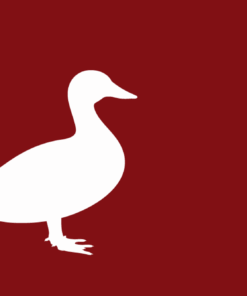 Enten