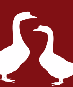 Gänse