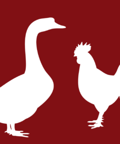 Geflügel