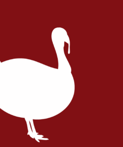 Puten