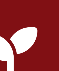 Vurst: Vegan | Vegetarisch